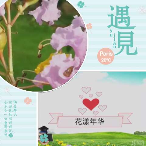 怀念青春