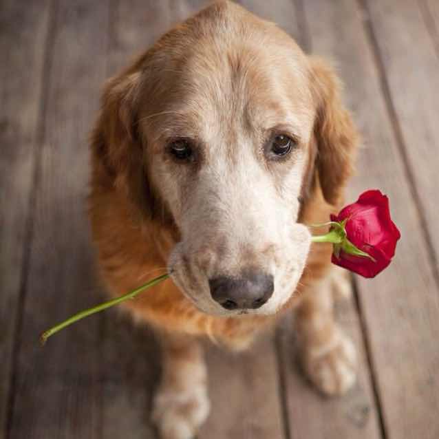 小影- 微视频diy神器